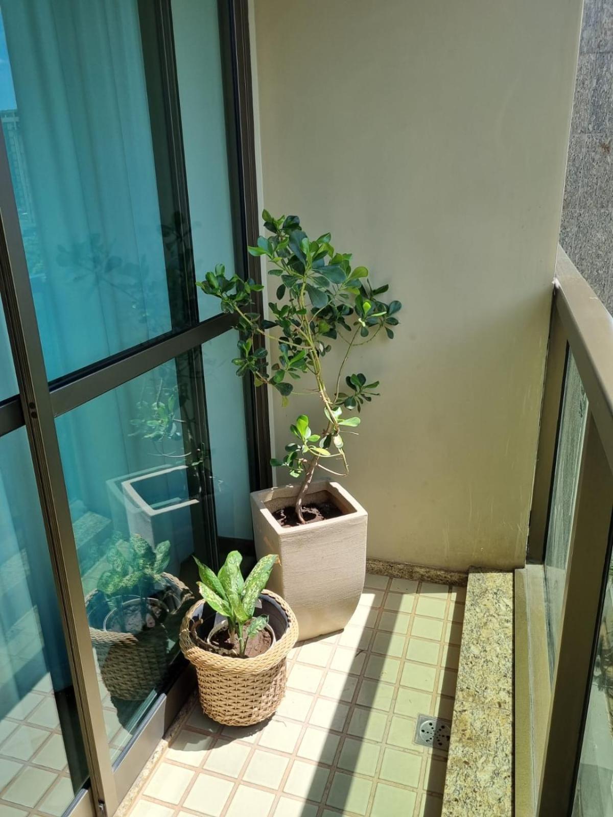 Апартаменти Flat Pancetti Белу-Оризонті Екстер'єр фото